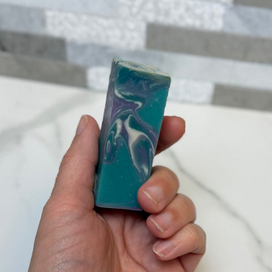 Medusa 4 Pack | Guest Size Soap, Hanging Potion, Sugar Scrub, Solid Lotion